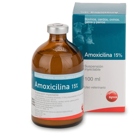 amoxicilina 2
